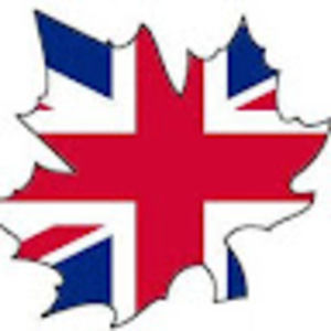 Meet your Posher, Roy